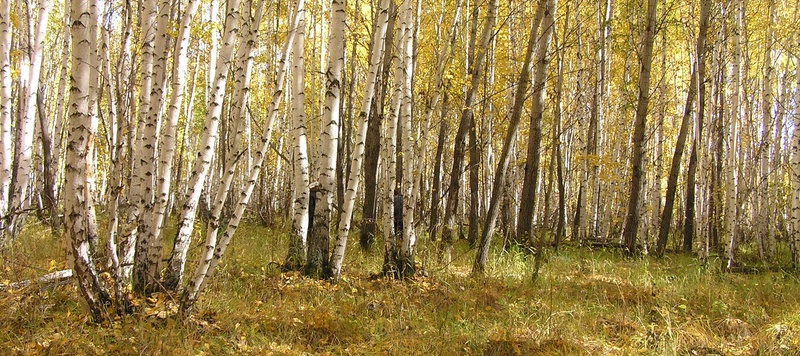 Осень