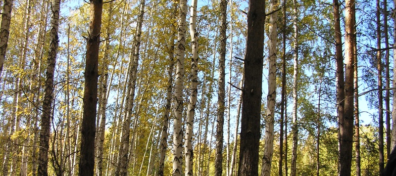 Осень