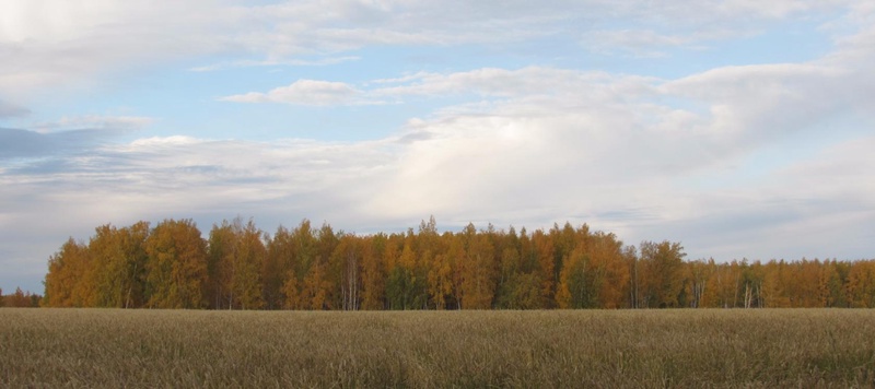 Охотхозяйство