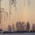 Таволжанская Sogra