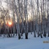 Таволжанская Sogra