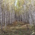 Таволжанская Sogra