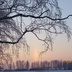 Таволжанская Sogra