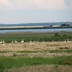 Таволжанская Sogra