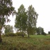 Таволжанская Sogra