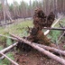 Таволжанская Sogra