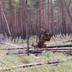 Таволжанская Sogra