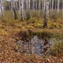 Таволжанская Sogra