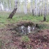 Таволжанская Sogra