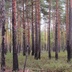 Таволжанская Sogra