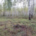 Таволжанская Sogra