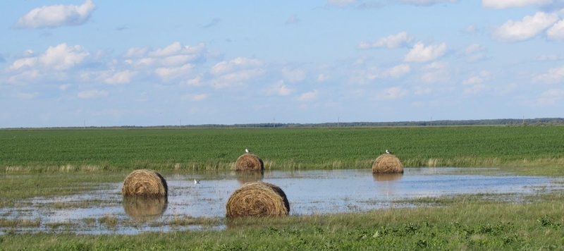 Таволжанская Sogra