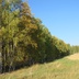 Таволжанская Sogra