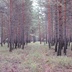 Таволжанская Sogra