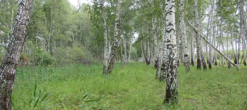 Таволжанская Sogra