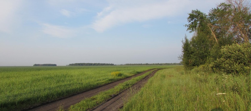 Таволжанская Sogra