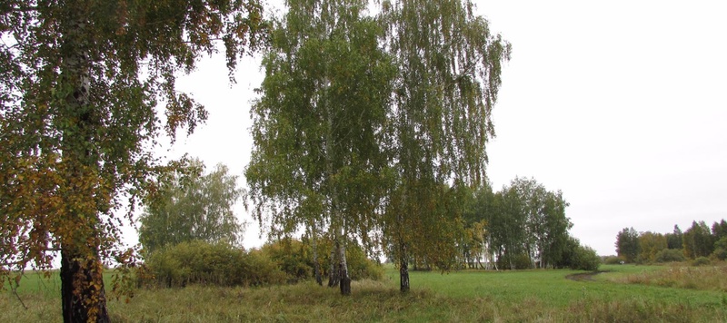 Таволжанская Sogra