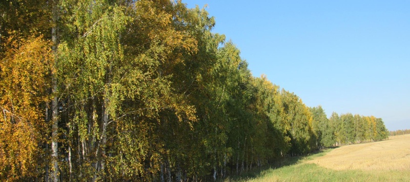 Таволжанская Sogra
