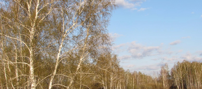 Таволжанская Sogra