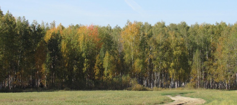 Таволжанская Sogra